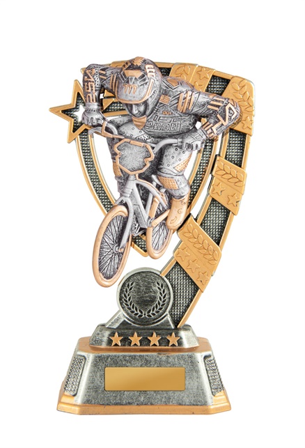 7a-7fin14b_discount-bmx-trophies-1.jpg