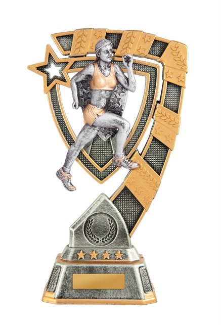 7d-7fin17f_discount-athletics-trophies.jpg