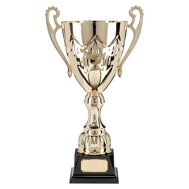876g-1p_euro-style-metal-cups.jpg