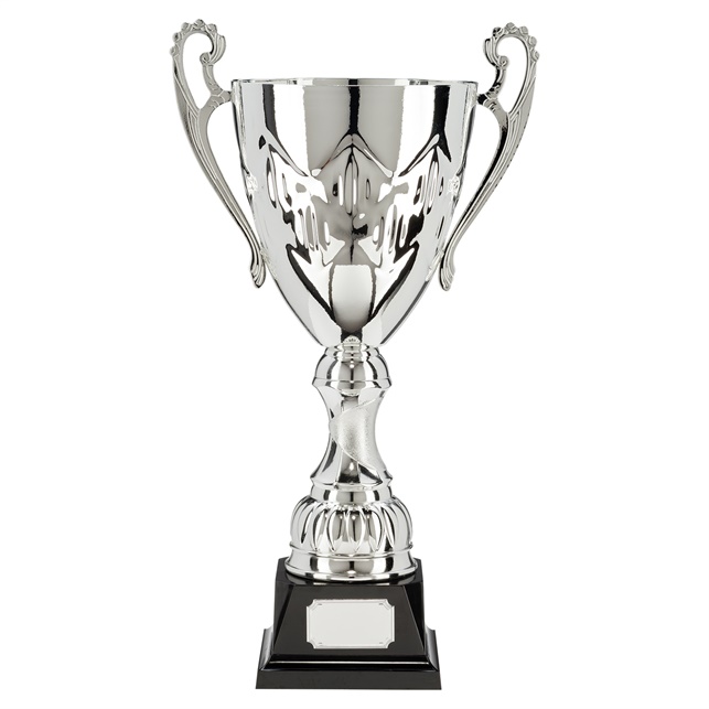 876s-1p_euro-style-metal-cups.jpg