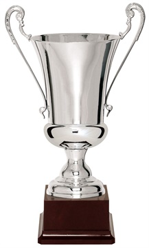 985_Metal_Trophy_Cup.jpg