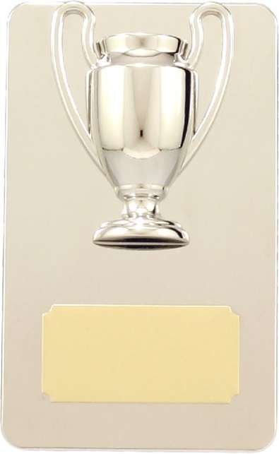 9935_soccer-discount-trophies.jpg