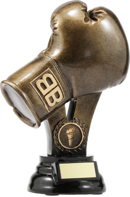 A307A_BoxingTrophies.jpg