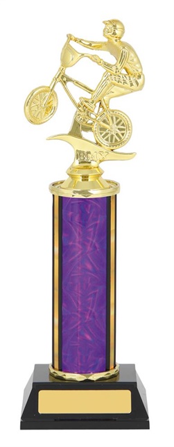 GET346_BMXTrophies.jpg