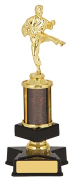 GET407_MartialArtsTrophies.jpg