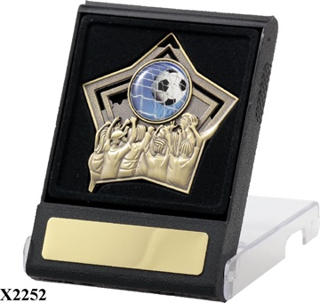 H2_Medal_Case_Star_TCD.jpg