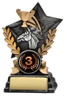 JW8370A_EquestrianTrophies.jpg