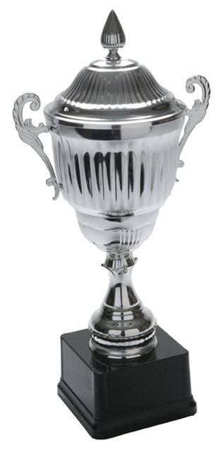 P4707_Metal_Trophy_Cup.jpg