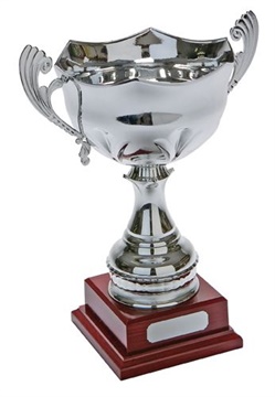P4807_Metal_Trophy_Cup.jpg