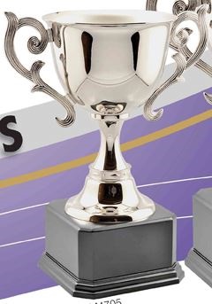 P5005_Cup.jpg