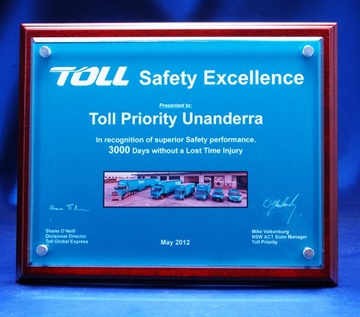 PAP_AwardPlaque_Printed.jpg