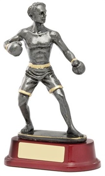 RJ361_KickBoxingTrophies.jpg