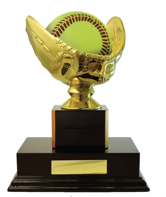 S120610_Baseball_SoftballBallHolder.jpg