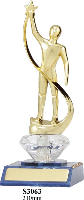 S3062_LifesavingTrophies.jpg