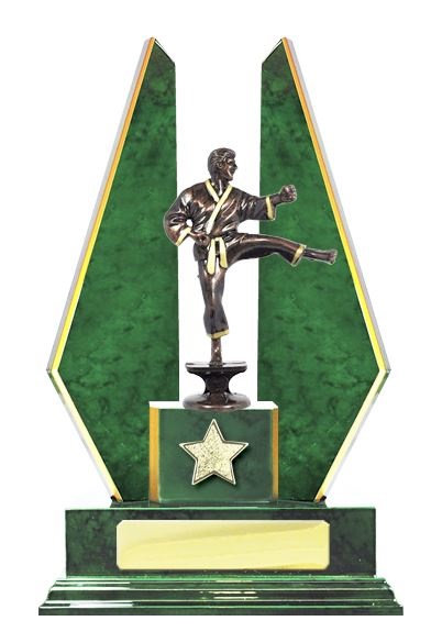 W123102_MartialArtsTrophies.jpg
