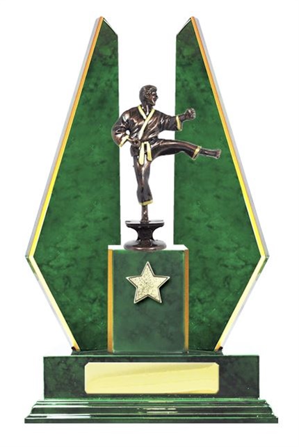 W123102_MartialArtsTrophies.jpg