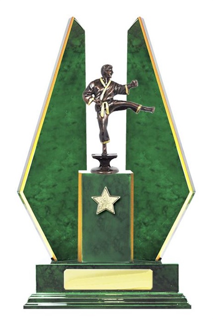 W123102_MartialArtsTrophies.jpg