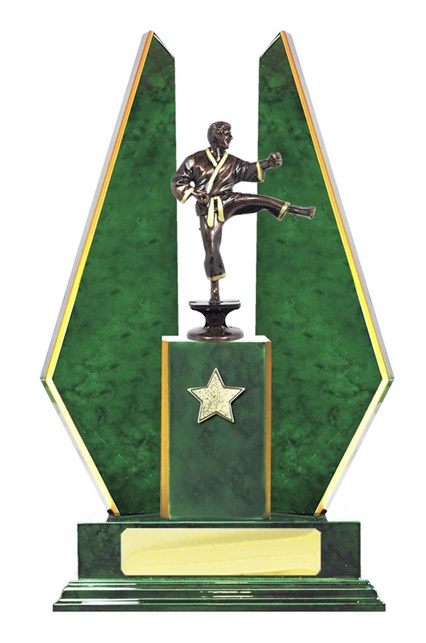 W123102_MartialArtsTrophies.jpg