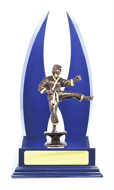W123106_MartialArtsTrophies.jpg