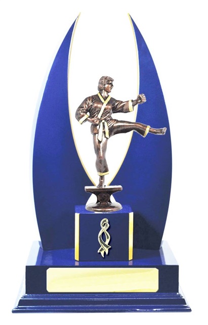 W123107_MartialArtsTrophies.jpg