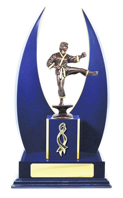 W123107_MartialArtsTrophies.jpg