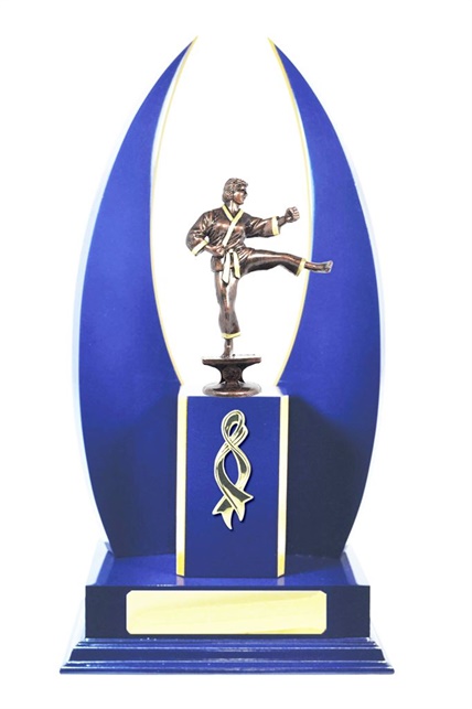 W123107_MartialArtsTrophies.jpg