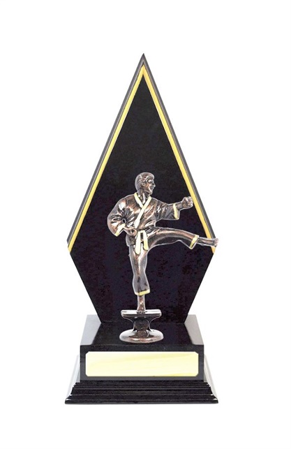 W123201_MartialArtsTrophies.jpg