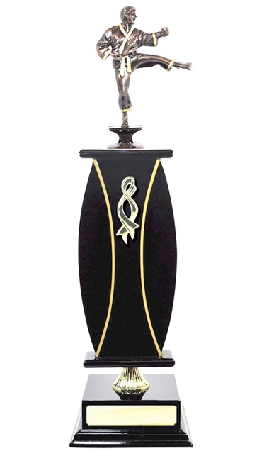 W123205_MartialArtsTrophies.jpg