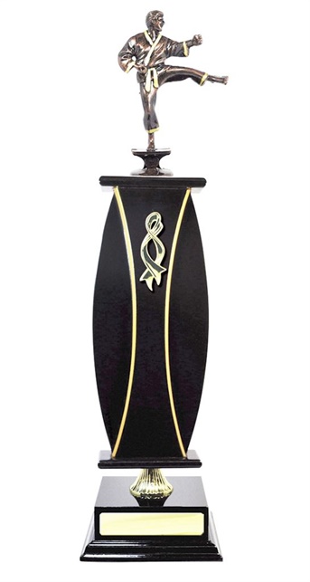 W123205_MartialArtsTrophies.jpg
