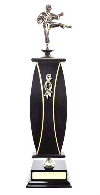 W123205_MartialArtsTrophies.jpg