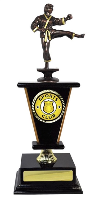 W123406_MartialArtsTrophies.jpg