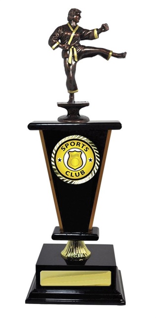 W123406_MartialArtsTrophies.jpg