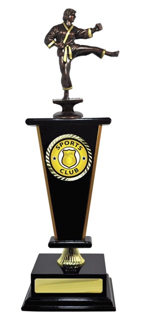 W123406_MartialArtsTrophies.jpg