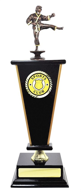 W123406_MartialArtsTrophies.jpg