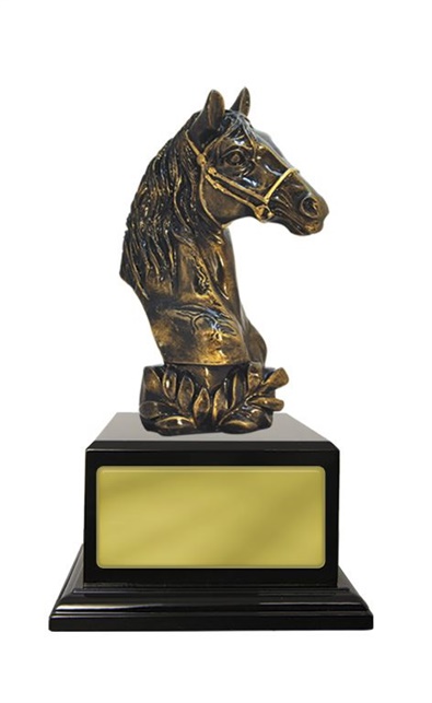 W125210_EquestrianTrophies.jpg