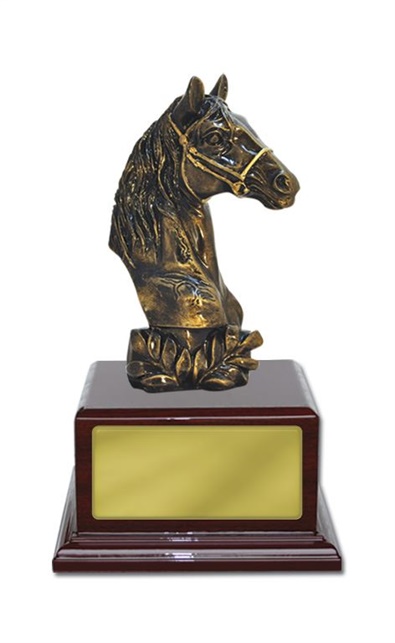 W125212_EquestrianTrophies.jpg