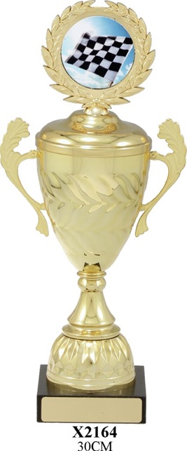 X2164_TrophyCup.jpg