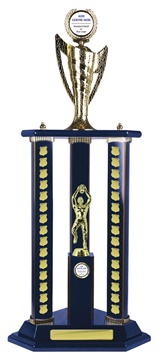 a162608_afl-trophy.jpg