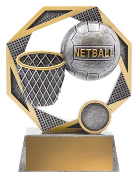 a2437a_discount-netball-trophies.jpg