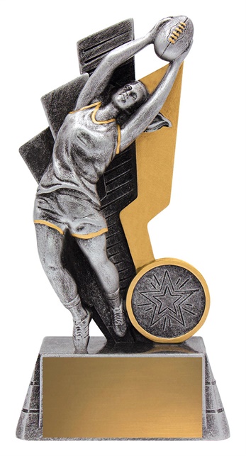 a2587a_discount-afl-aussie-rules-trophies.jpg