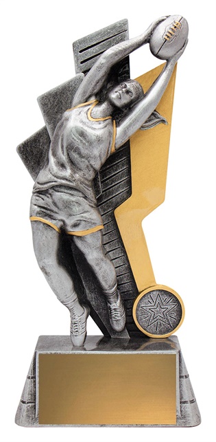 a2587a_discount-afl-aussie-rules-trophies.jpg