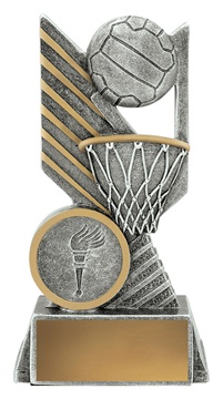 a2791a_discount-netball-trophies.jpg