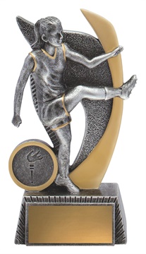a3187a_discount-aussie-rules-afl-trophies.jpg