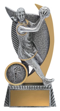 a3191a_discount-netball-trophies.jpg