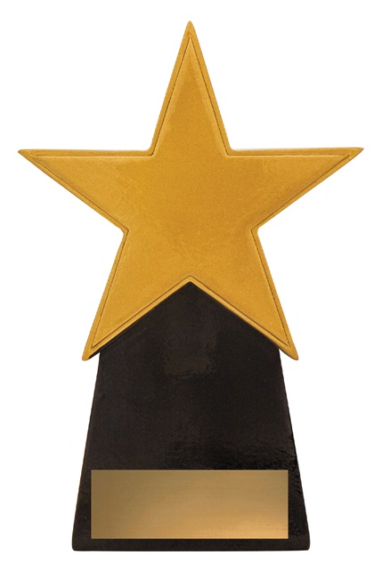 a369a_resin-star-trophies.jpg
