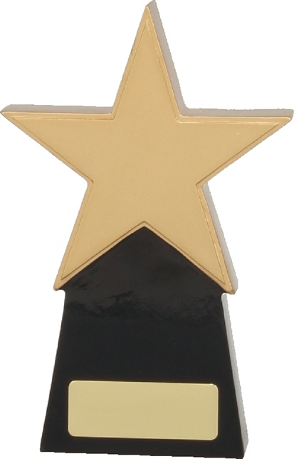 a369a_resin-star-trophies.jpg