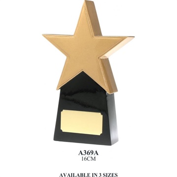 a369a_resin-star-trophies.jpg