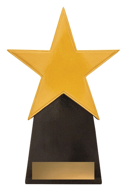 a369a_resin-star-trophies.jpg