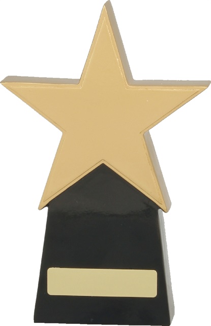 a369a_resin-star-trophies.jpg