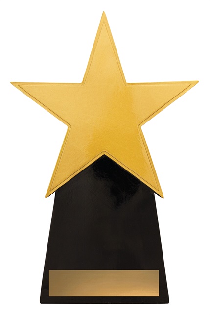 a369a_resin-star-trophies.jpg